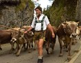 veranstaltung: Viehscheid im Oberallgäu in Obermaiselstein - Viehscheid Obermaiselstein 2022 - zurück zu den Wurzeln *