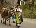 veranstaltung: Viehscheid im Oberallgäu in Obermaiselstein - Viehscheid Obermaiselstein 2022 - zurück zu den Wurzeln *