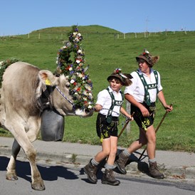 Veranstaltungen im Oberallgäu: Viehscheid / Alpabtrieb in Obermaiselstein im Allgäu - Viehscheid in Obermaiselstein 2024