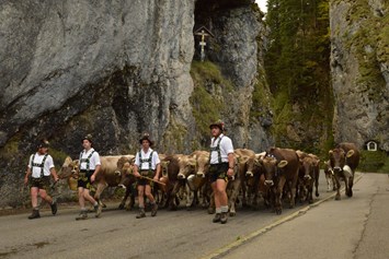 Veranstaltungen im Oberallgäu: Viehscheid - Alpabtrieb in Obermaiselstein im Allgäu - Viehscheid in Obermaiselstein 2024