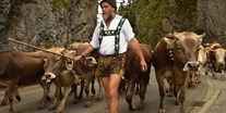 Hotels und Ferienwohnungen im Oberallgäu - Wetter: bei jedem Wetter - Viehscheid im Oberallgäu in Obermaiselstein - Viehscheid in Obermaiselstein 2024