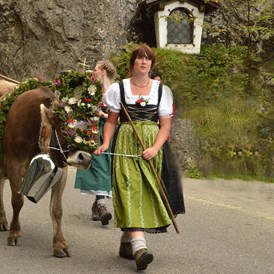 Veranstaltungen im Oberallgäu: Viehscheid im Oberallgäu in Obermaiselstein - Viehscheid in Obermaiselstein 2024