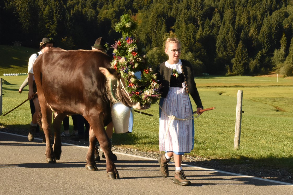 Veranstaltungen im Oberallgäu: Viehscheid / Alpabtrieb in Obermaiselstein im Allgäu - Viehscheid Obermaiselstein 2023