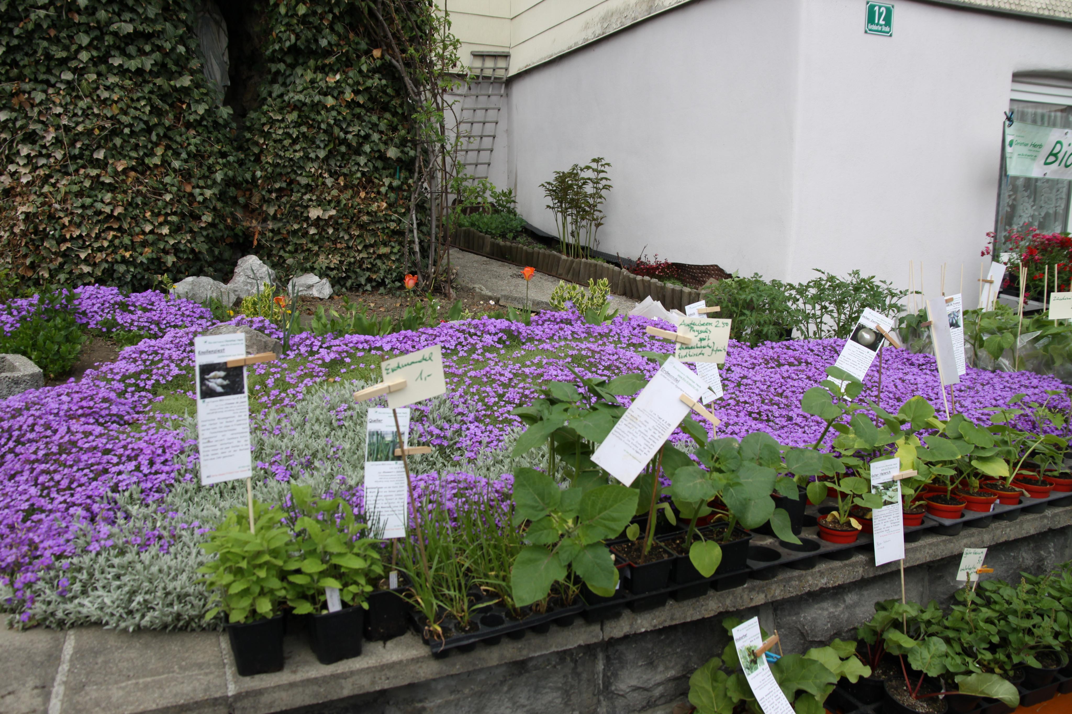 Veranstaltungen im Oberallgäu: Vorderburger Kräutermarkt - Kräutermarkt in Vorderburg am 10.05.2026