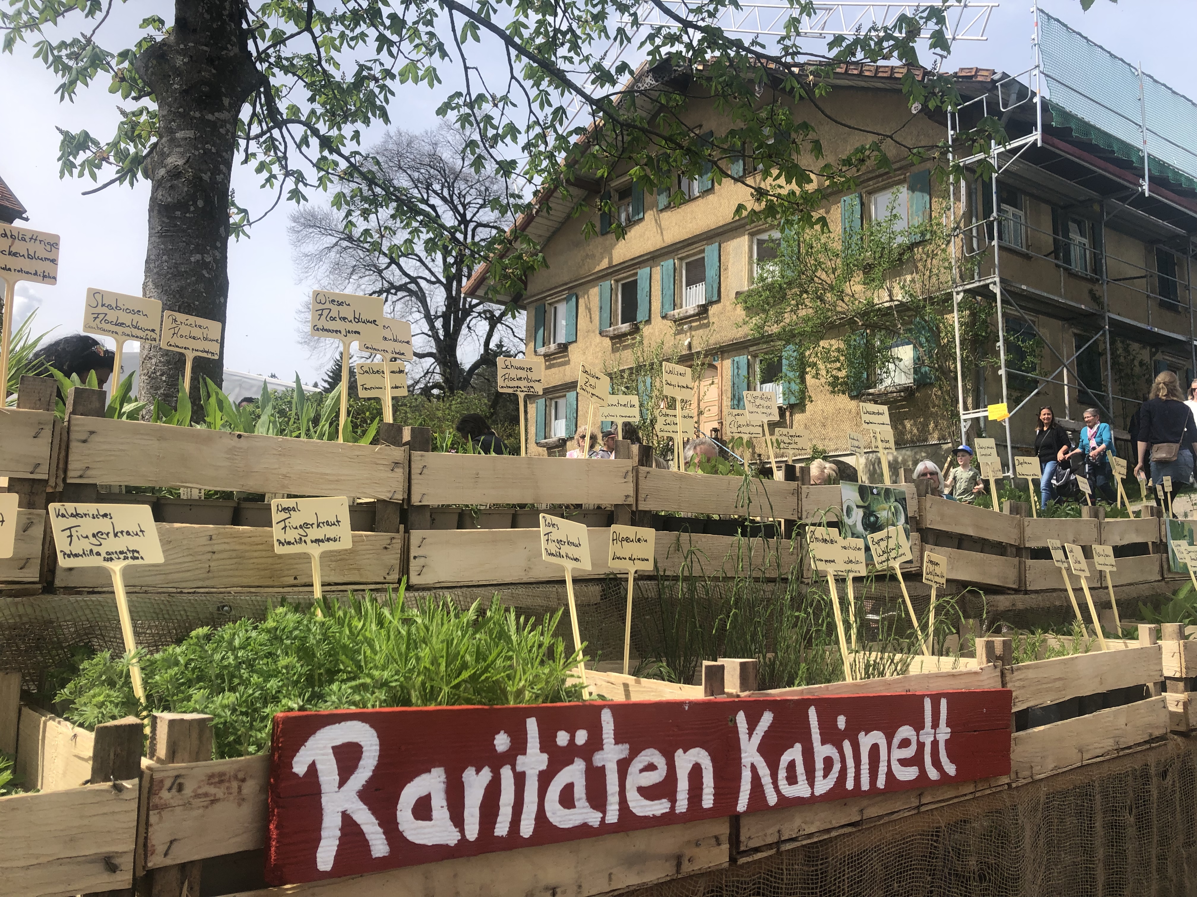 Veranstaltungen im Oberallgäu: Vorderburger Kräutermarkt - Kräutermarkt in Vorderburg am 10.05.2026