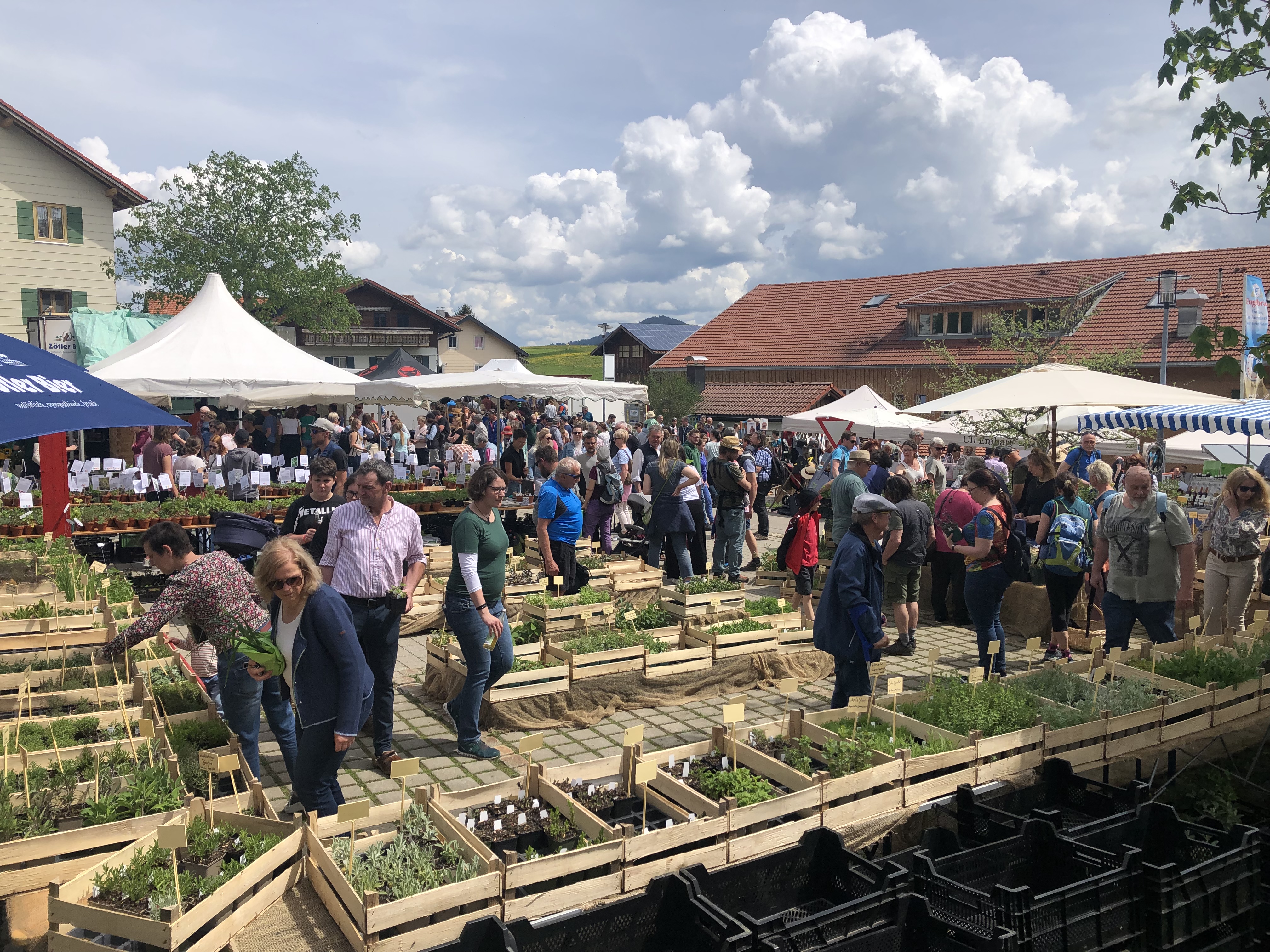 Veranstaltungen im Oberallgäu: Vorderburger Kräutermarkt - Kräutermarkt in Vorderburg am 10.05.2026