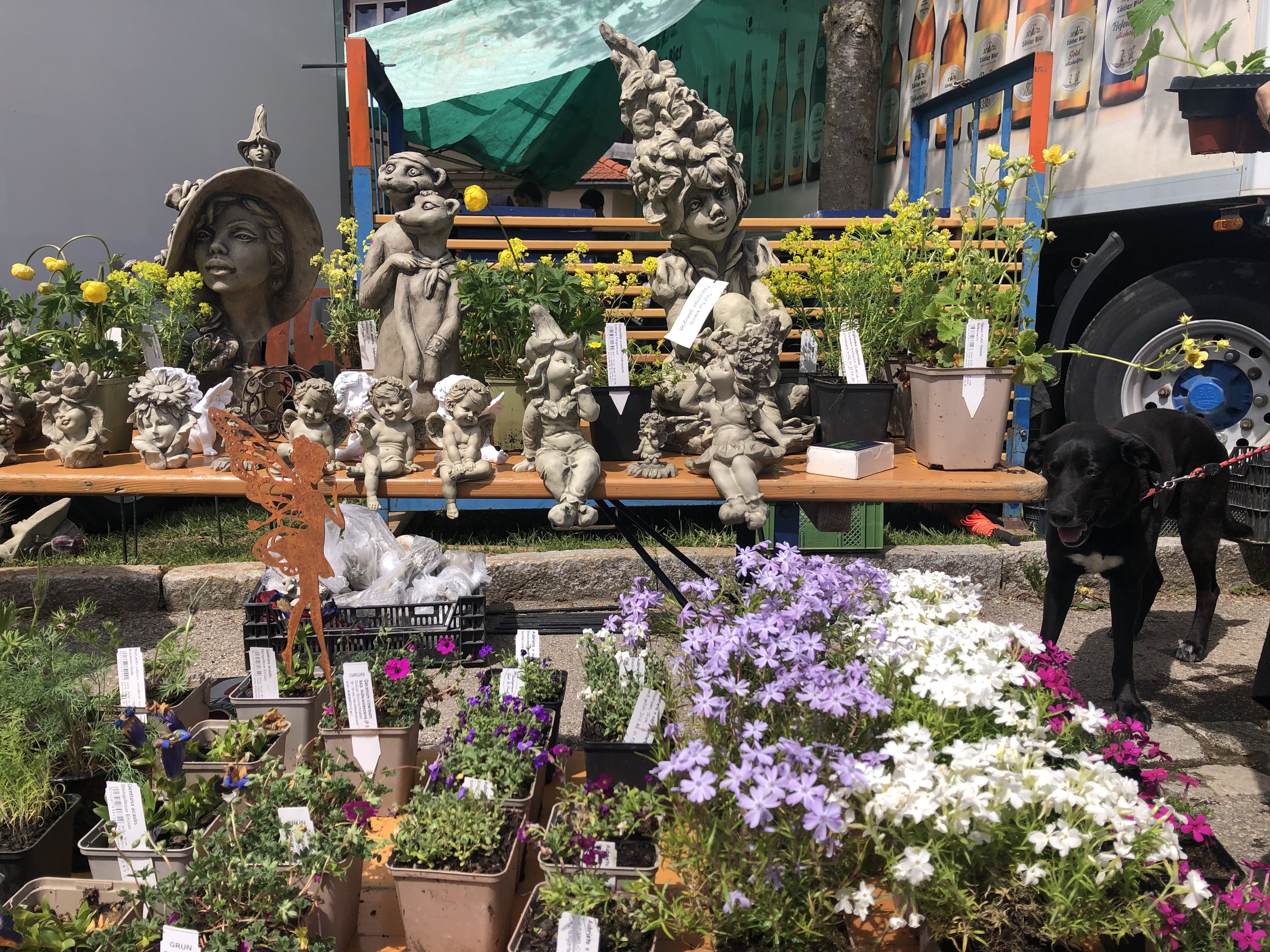 Veranstaltungen im Oberallgäu: Vorderburger Kräutermarkt - Kräutermarkt in Vorderburg am 10.05.2026