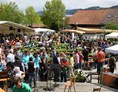 Veranstaltungen im Oberallgäu:  Kräutermarkt in Vorderburg - Vorderburger Kräutermarkt 2024