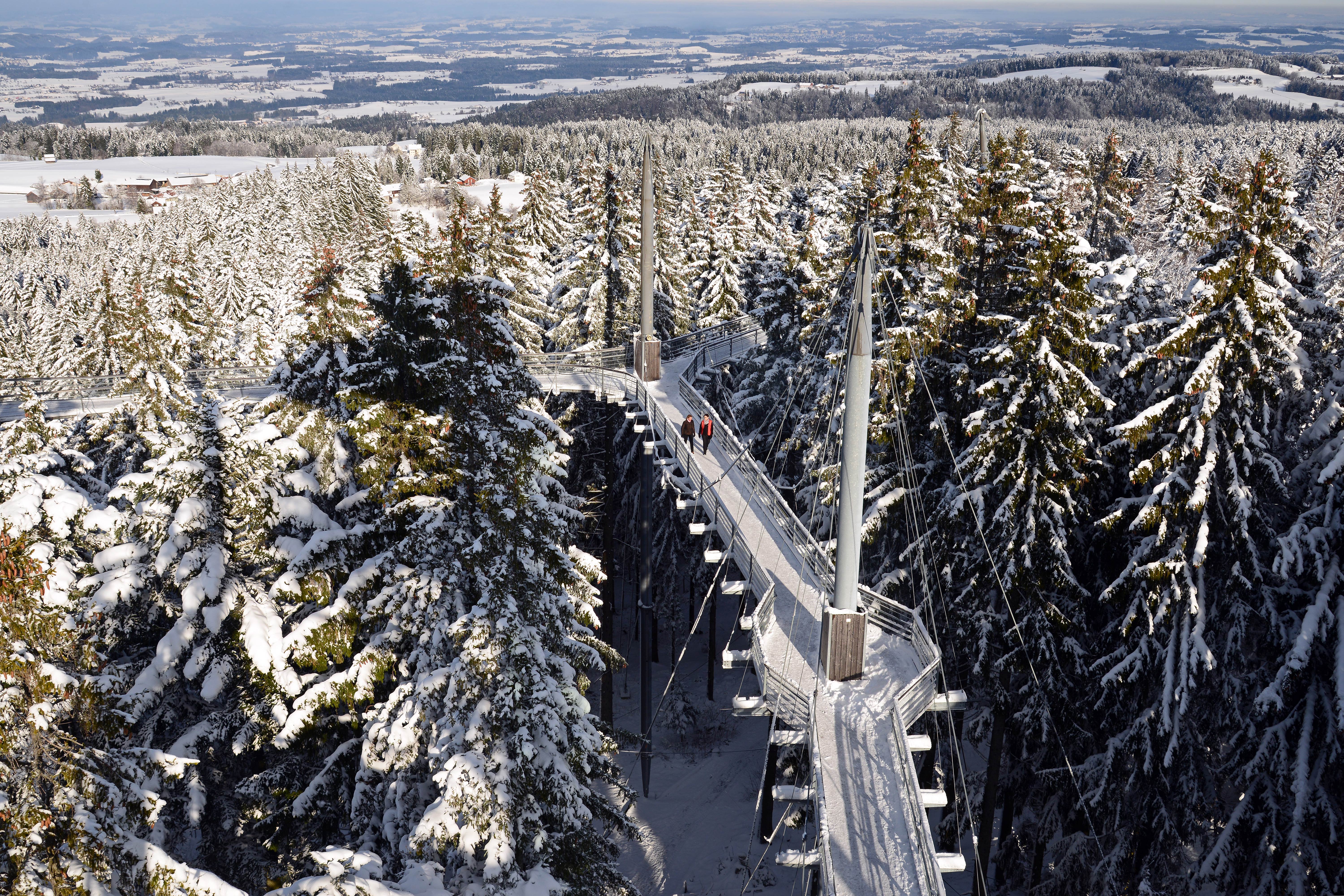 Veranstaltungen im Oberallgäu: Waldweihnacht im Skywalk Allgäu