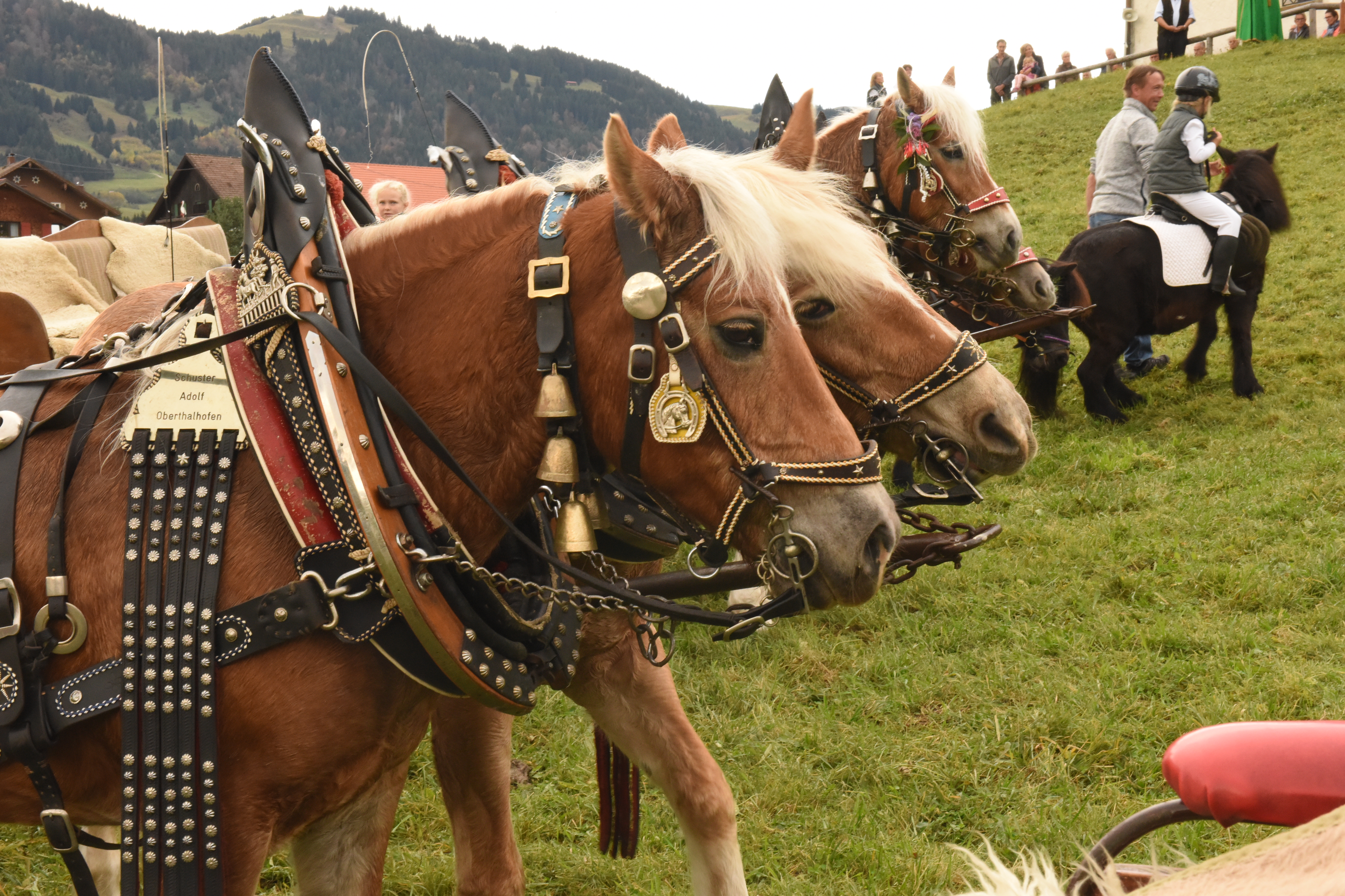 Veranstaltungen im Oberallgäu: Wendelinusritt von Fischen nach Bolsterlang - Untermühlegg - Wendelinusritt 2025 nach Bolsterlang / Untermühlegg