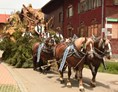 Veranstaltungen im Oberallgäu: Der Wilde Mändle Tanz in Oberstdorf - Der Wilde Mändle Tanz in Oberstdorf 2023