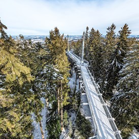 veranstaltung: Winterzauber im Skywalk Allgäu