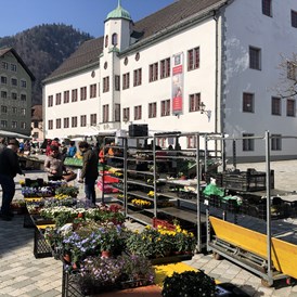 Veranstaltungen im Oberallgäu: Wochenmarkt in Immenstadt auf dem Marienplatz - Wochenmarkt in Immenstadt