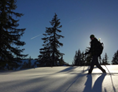 Veranstaltungen im Oberallgäu: Vollmond-Schneeschuherlebnis