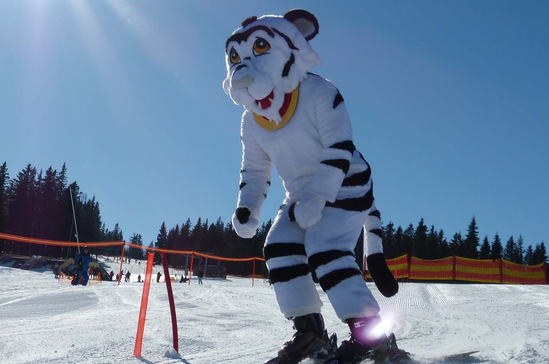 Hotels und Ferienwohnungen im Oberallgäu - Parken & Anreise: Busparkplatz - DSV aktiv Safety Day am 07.03.2026 am Söllereck - DSV aktiv Safety Day am 07.03.2026 am Söllereck