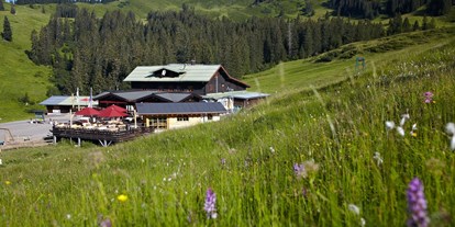 Hotels und Ferienwohnungen im Oberallgäu - Berghütte Grasgehren im Wandergebiet Skigebiet am Riedbergpass - Berghütte Grasgehren