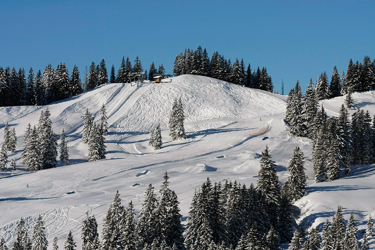Restaurants im Oberallgäu: Berghütte Grasgehren im Wandergebiet Skigebiet am Riedbergpass - Berghütte Grasgehren unterm Riedbergerhorn