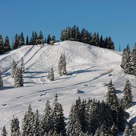 Restaurants im Oberallgäu: Berghütte Grasgehren im Wandergebiet Skigebiet am Riedbergpass - Berghütte Grasgehren unterm Riedbergerhorn