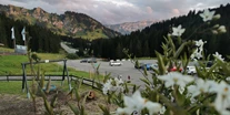 Hotels und Ferienwohnungen im Oberallgäu - Berghütte Grasgehren im Wandergebiet Skigebiet am Riedbergpass - Berghütte Grasgehren unterm Riedbergerhorn