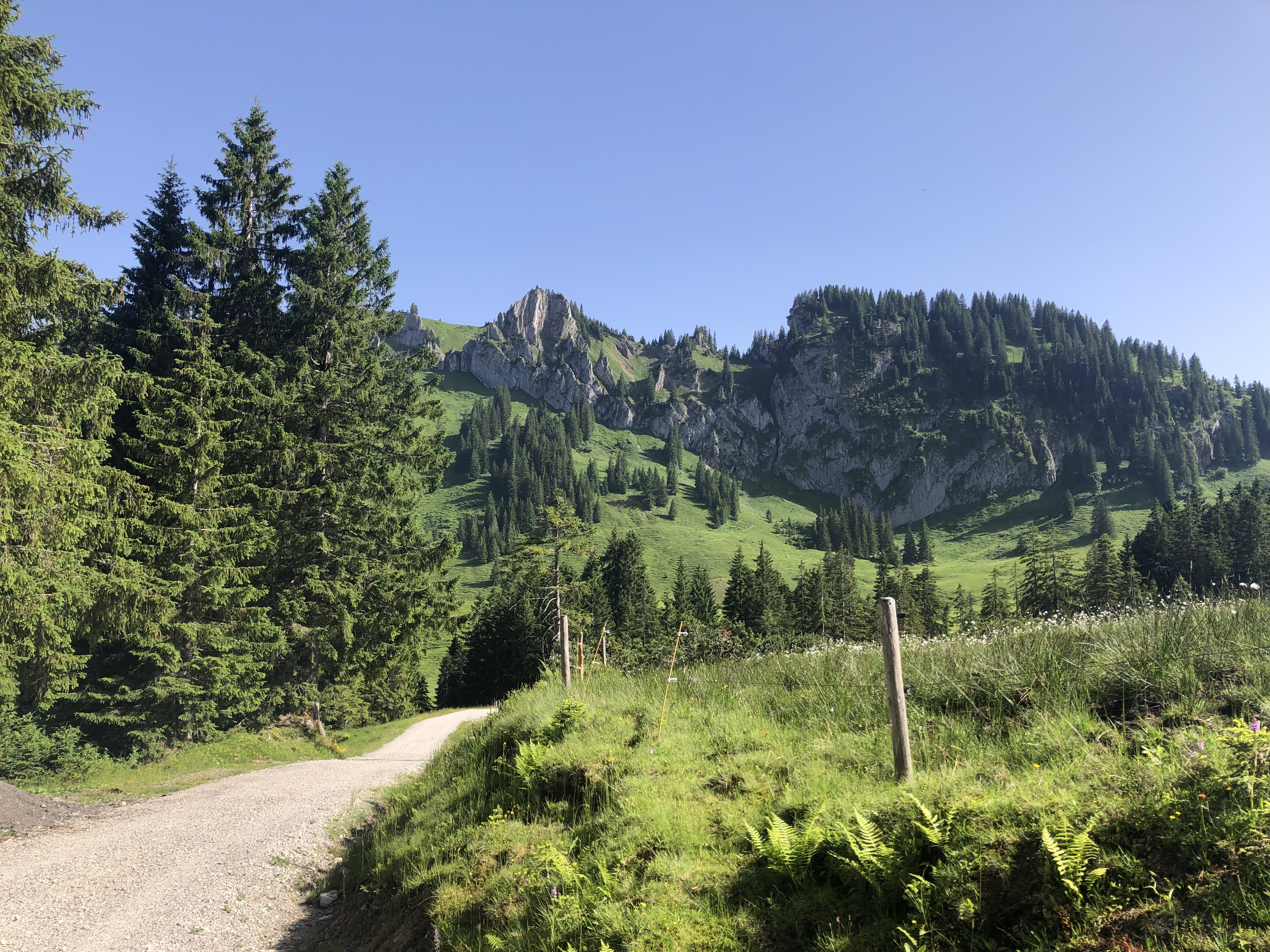 Restaurants im Oberallgäu: Berghütte Grasgehren im Wandergebiet Riedbergpass - Berghütte Grasgehren unterm Riedbergerhorn