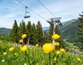 Erlebnisse im Oberallgäu: Bergbahnen im Allgäu - Kleinwalsertal: die Heubergarena - Die Heubergarena im Kleinwalsertal