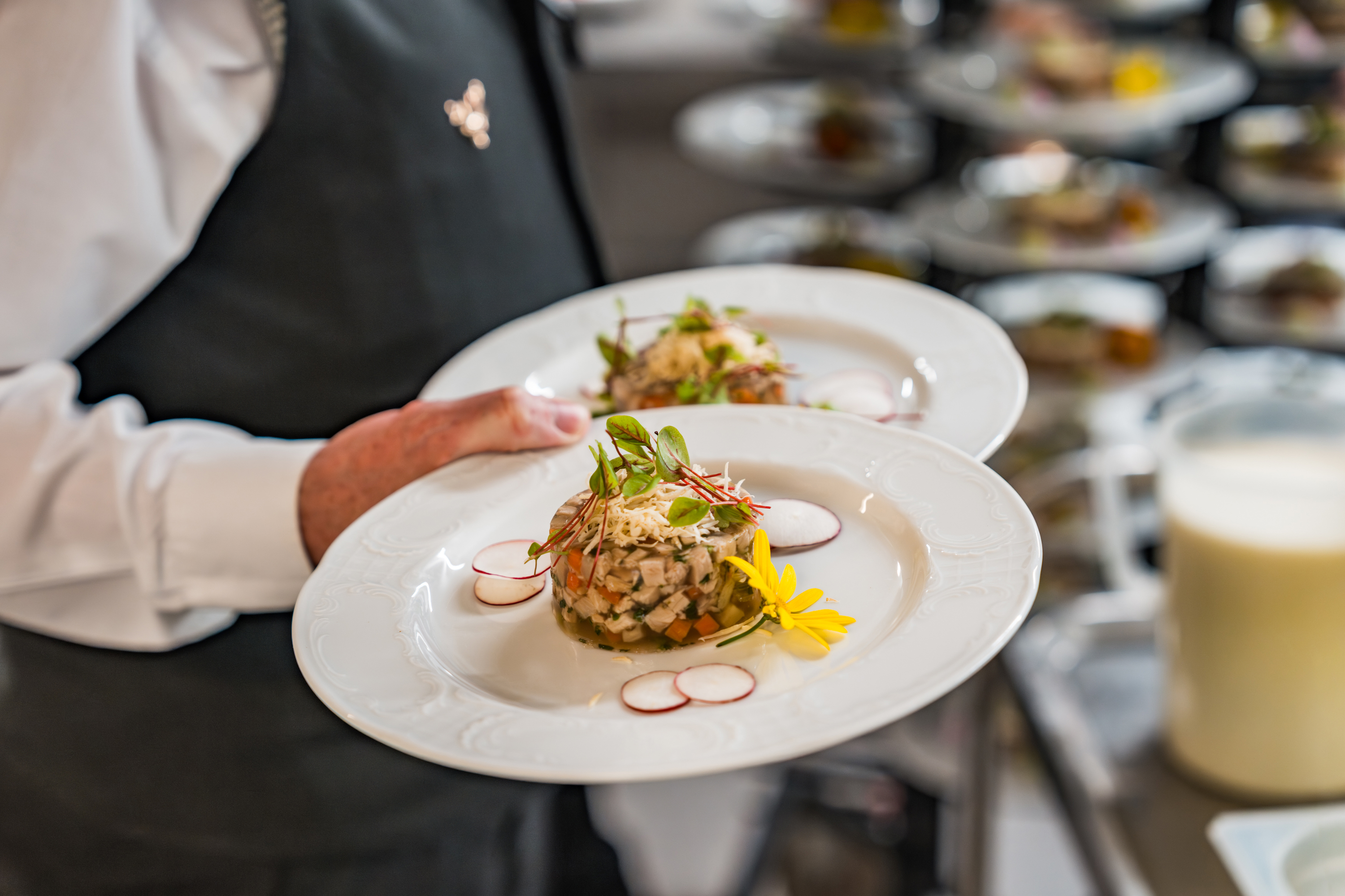 Veranstaltungen im Oberallgäu: Entdeckungsreise "Südafrika" mit Paula Bosch - Weinentdeckungsreise mit Paula Bosch in Bad Hindelang