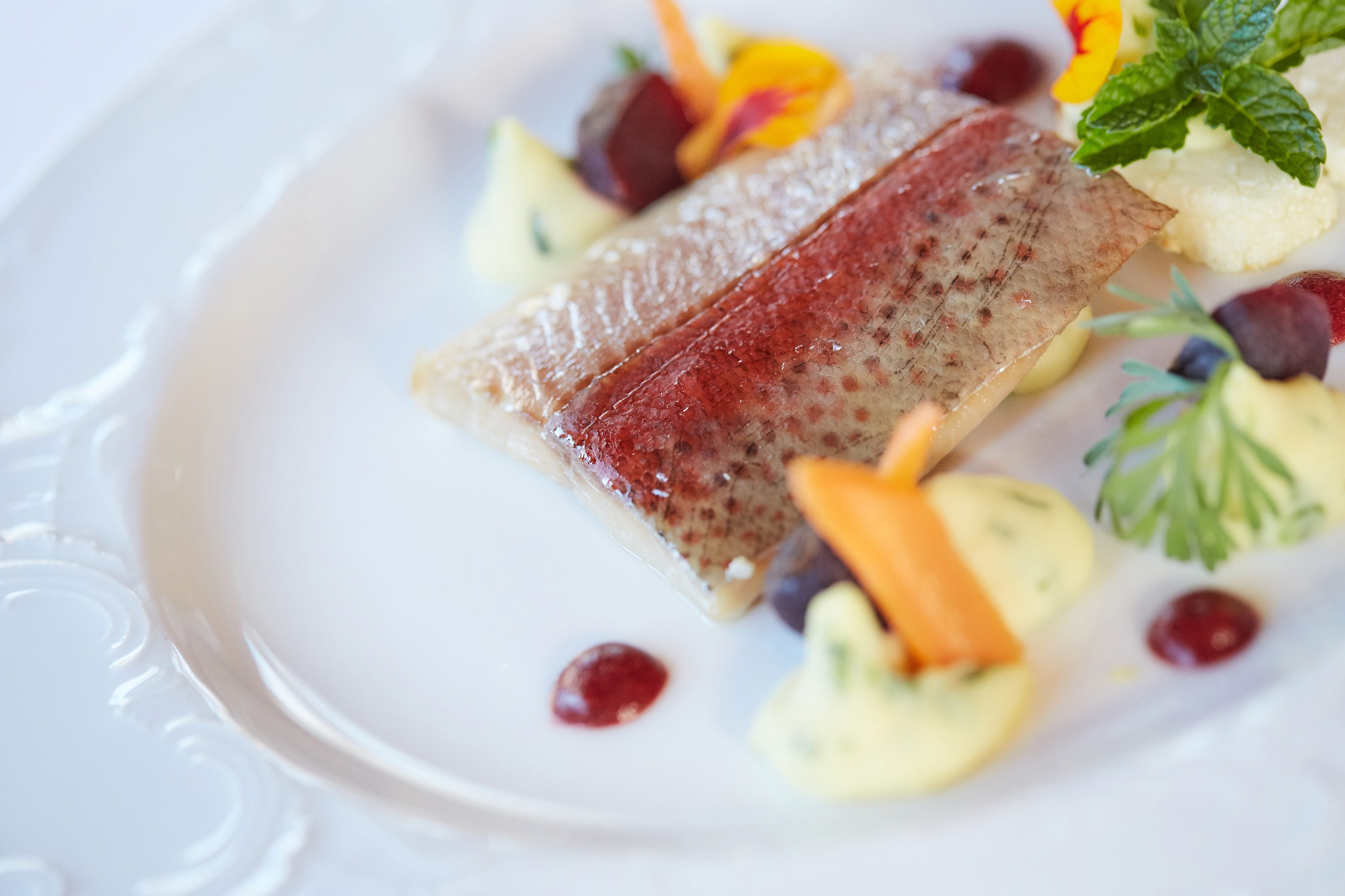 Veranstaltungen im Oberallgäu: Entdeckungsreise "Südafrika" mit Paula Bosch - Weinentdeckungsreise mit Paula Bosch in Bad Hindelang