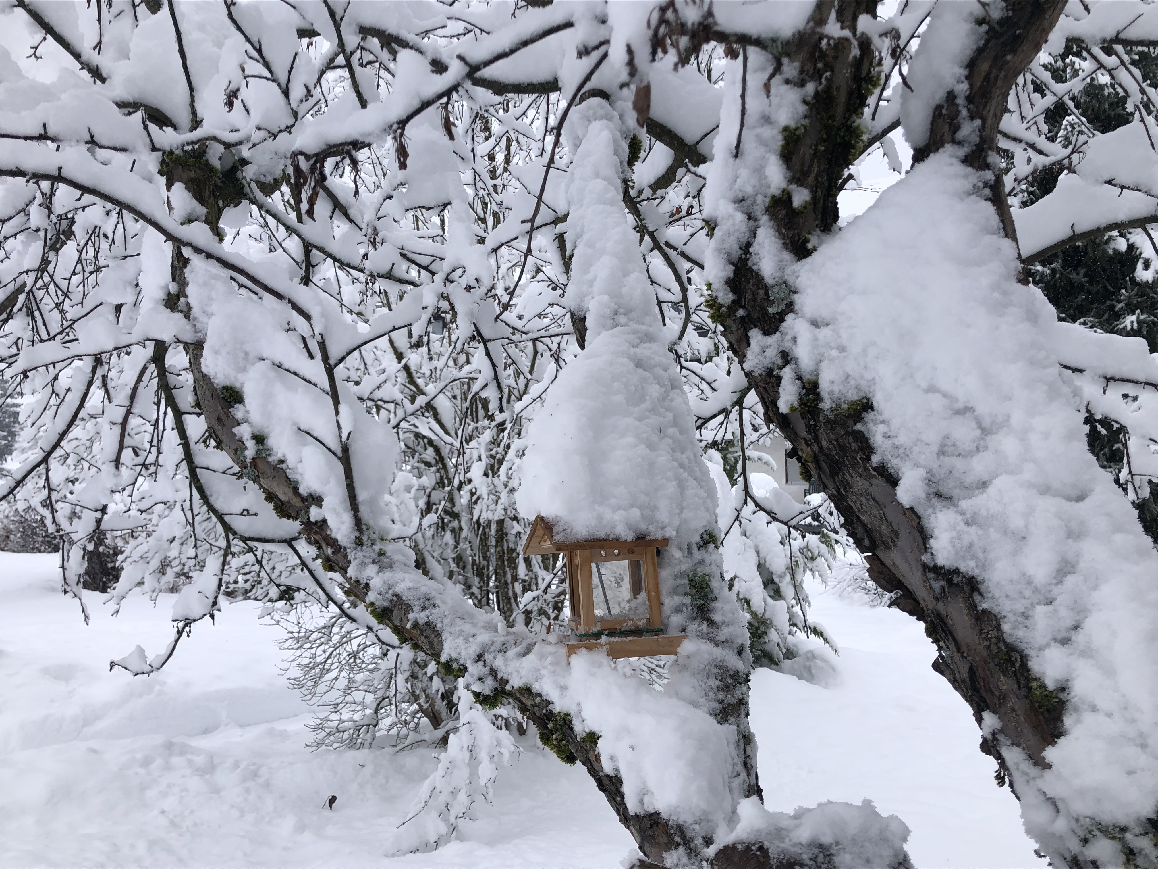 Unterkunft im Allgäu: Oberdorfer Stuben - Hotels Obermaiselstein im Oberallgäu - Oberdorfer Stuben - Hotel garni in Obermaiselstein