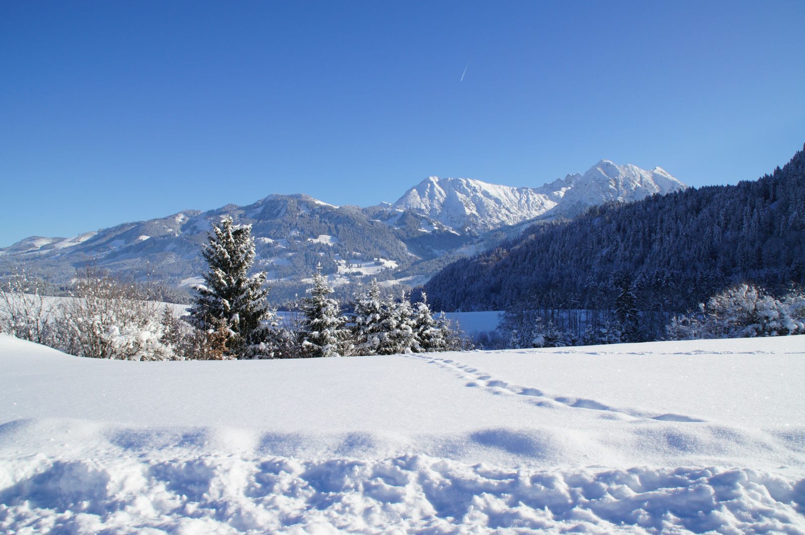 Unterkunft im Allgäu: Ferienhotel Berwanger Hof in Obermaiselstein im Oberallgäu - Ferien- und Wellnesshotel Berwanger Hof im Allgäu