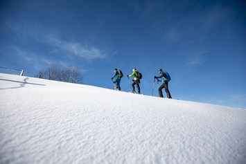 Erlebnisse: Bergwelt Oberstaufen - Outdoor Abenteuer im Allgäu - Bergwelt Oberstaufen im Allgäu