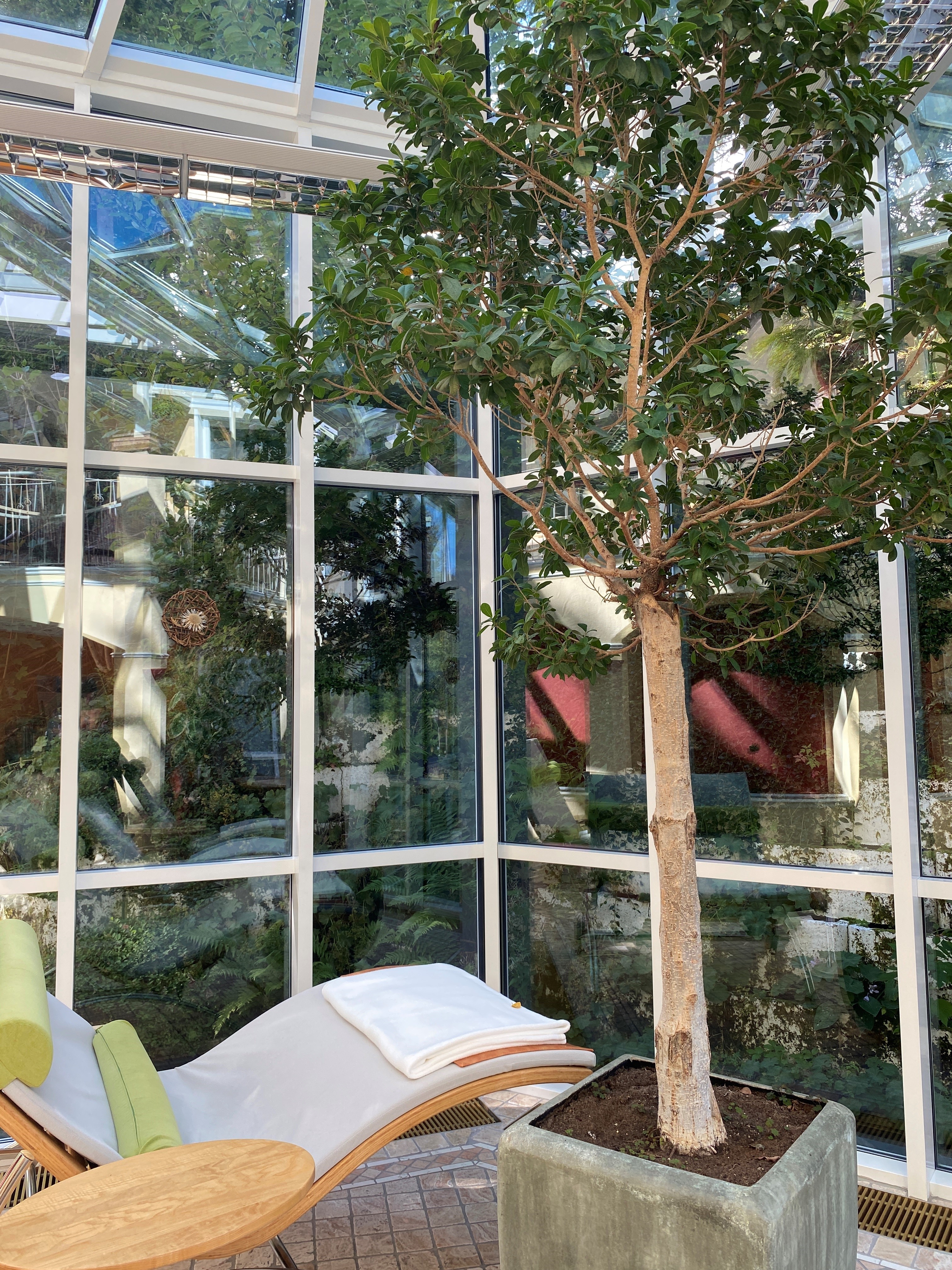 Unterkunft im Allgäu: Wintergarten - 4****S Hotel Erlebach in Riezlern