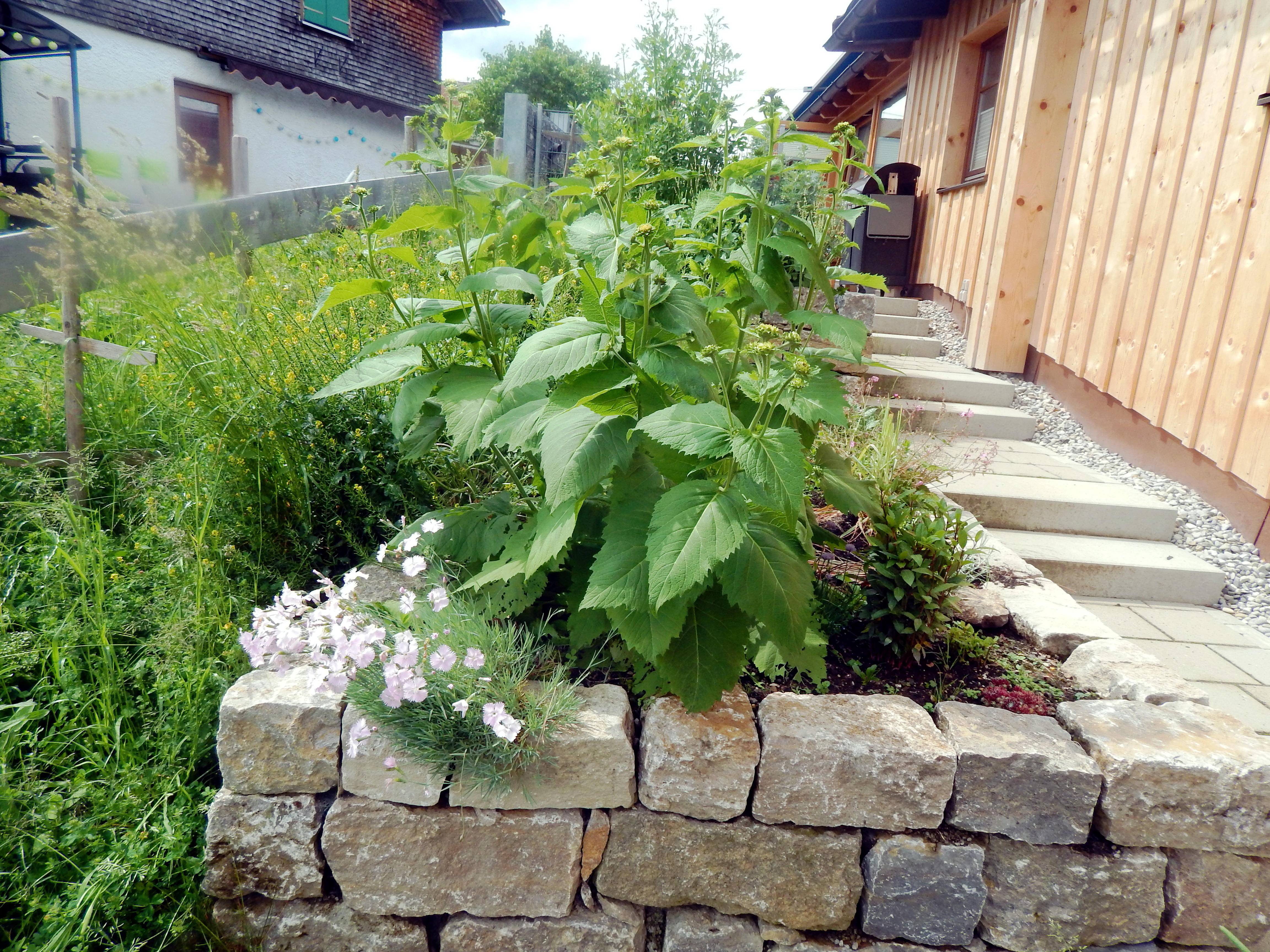 Unterkunft im Allgäu: Unser Kräutergarten - Hotel Bergsonne Allgäu