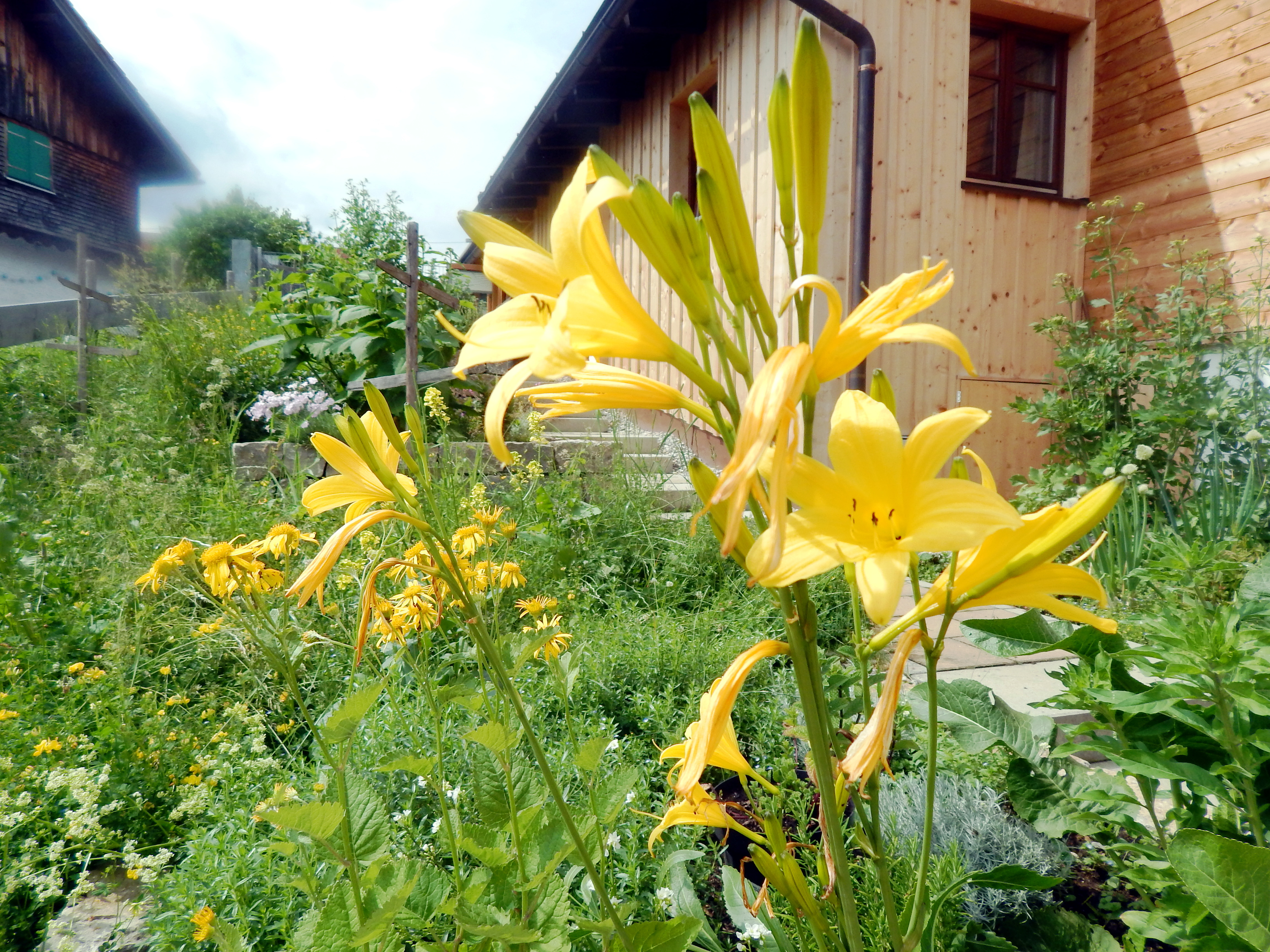 Unterkunft im Allgäu: Unser Kräutergarten - Hotel Bergsonne Allgäu