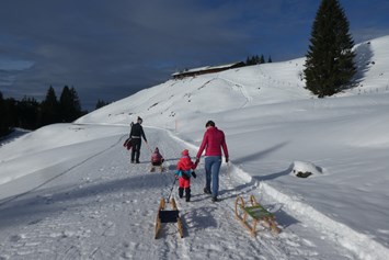 gastgeber-im-oberallgaeu: Bergheimat - Ferienwohnung Obermaiselstein im Oberallgäu - Bergheimat - Ferienwohnung in Obermaiselstein im Allgäu