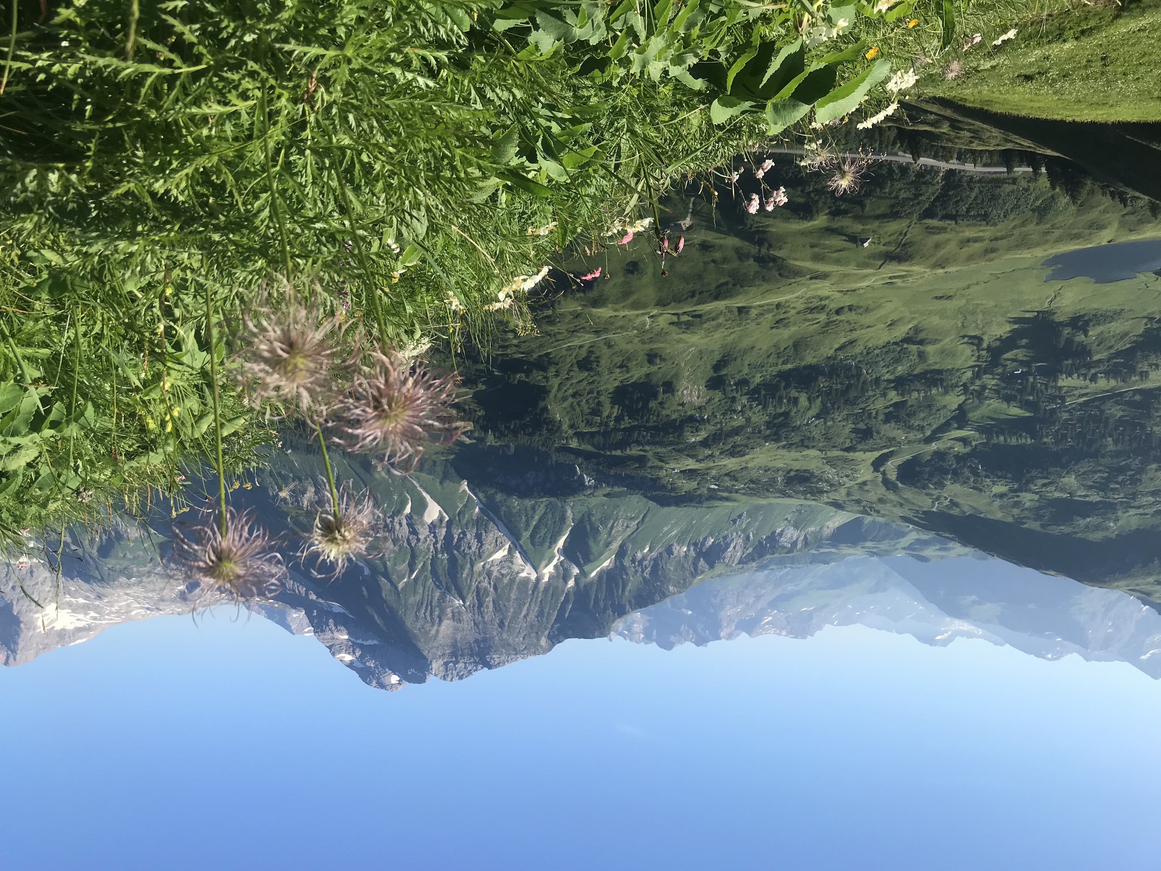 Unterkunft im Allgäu: Das Dorfhuus - Ferienwohnung in Mittelberg im Kleinwalsertal - Das Dorfhuus - Ferienwohnung im Kleinwalsertal