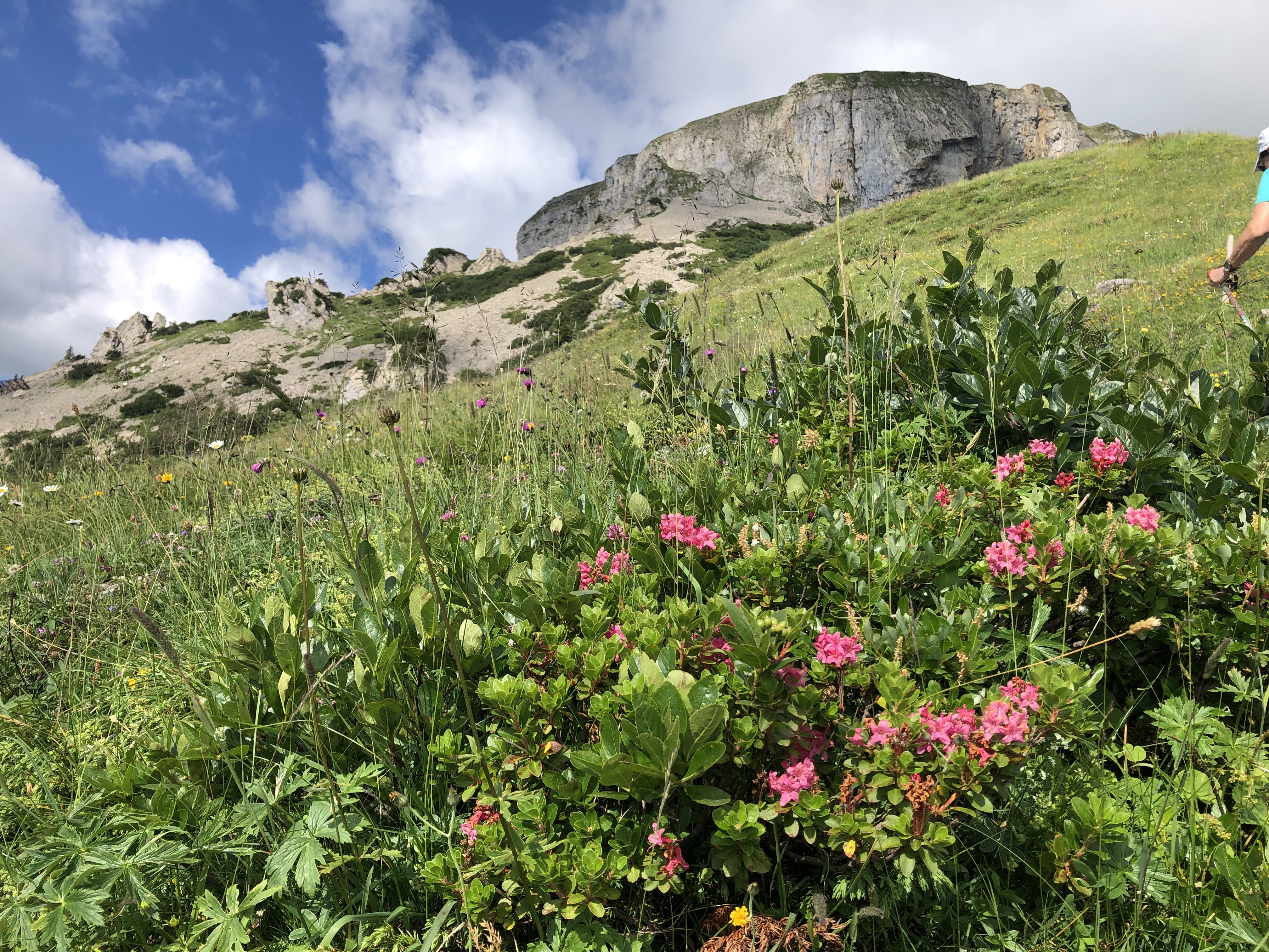 Unterkunft im Allgäu: Das Dorfhuus - Ferienwohnung in Mittelberg im Kleinwalsertal - Das Dorfhuus - Ferienwohnung im Kleinwalsertal