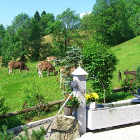 Unterkunft im Allgäu: Baldauf - Ferienwohnungen in Oberdorf im Oberallgäu - Ferienwohnung Baldauf in Oberstdorf im Allgäu