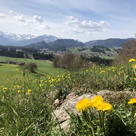 Unterkunft im Allgäu: Ferienwohnungen Vogler in Reichenbach im Allgäu - Ferienwohnungen Vogler in Oberstdorf - Reichenbach im Allgäu