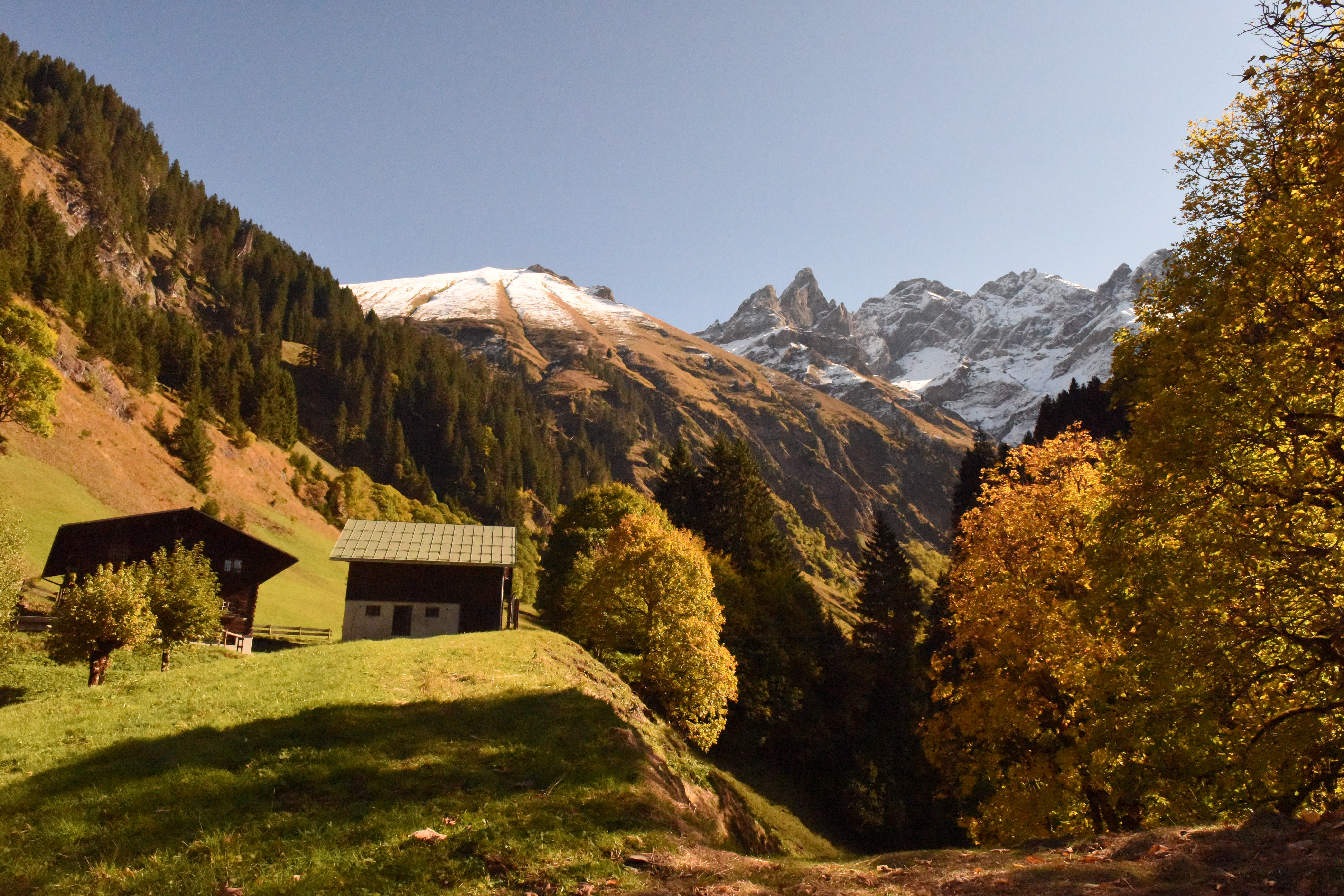 Veranstaltungen im Oberallgäu: Tobias Schuhwerk liest aus "NÜÜF" im Alpenstadtmuseum - Tobias Schuhwerk liest aus "NÜÜF" im Alpenstadtmuseum