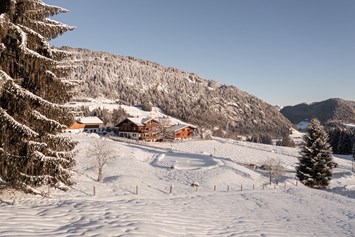 Restaurants im Oberallgäu: Die Alpe Dornach im Winter - Alpe Dornach | Allgäuer Alpinküche