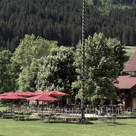 Restaurants im Oberallgäu: Restaurant im Hotel Wiesengrund in Bad Hindelang - Restaurant im Hotel Wiesengrund in Bad Hindelang