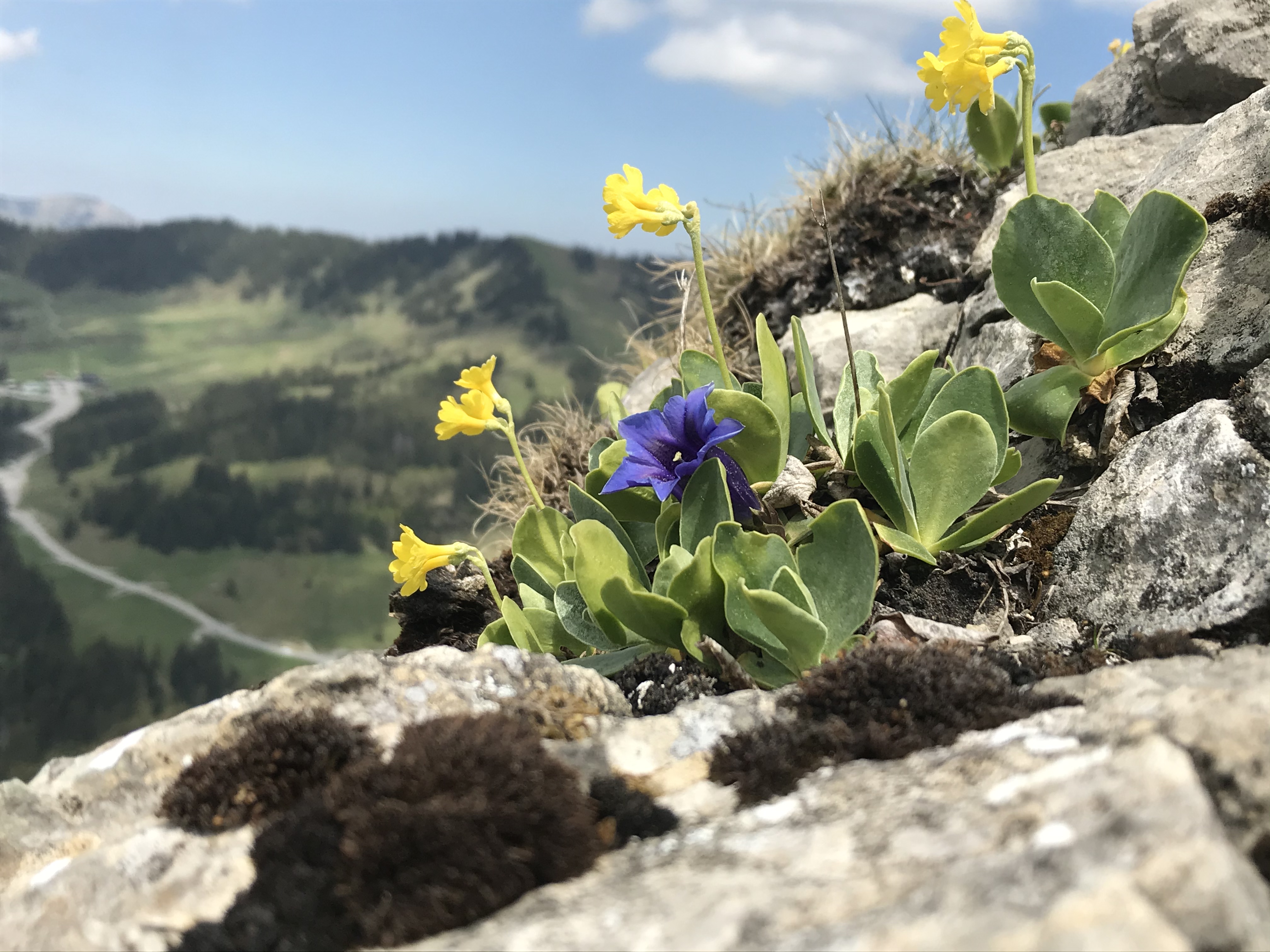 Stellenanzeigen von Leistungsträgern aus dem Oberallgäu: WORCAY - arbeite dort, wo du deinem Hobby nachgehen kannst! - WORCAY - Personalmangel trifft Reiselust. Das perfekte Match.
