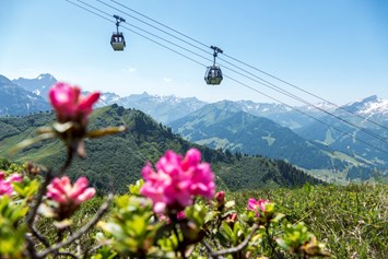 Erlebnisse im Oberallgäu: Kanzelwandbahn in Riezlern im Kleinwalsertal - Die Kanzelwandbahn - grenzenloses Wander- und Bergerlebnis