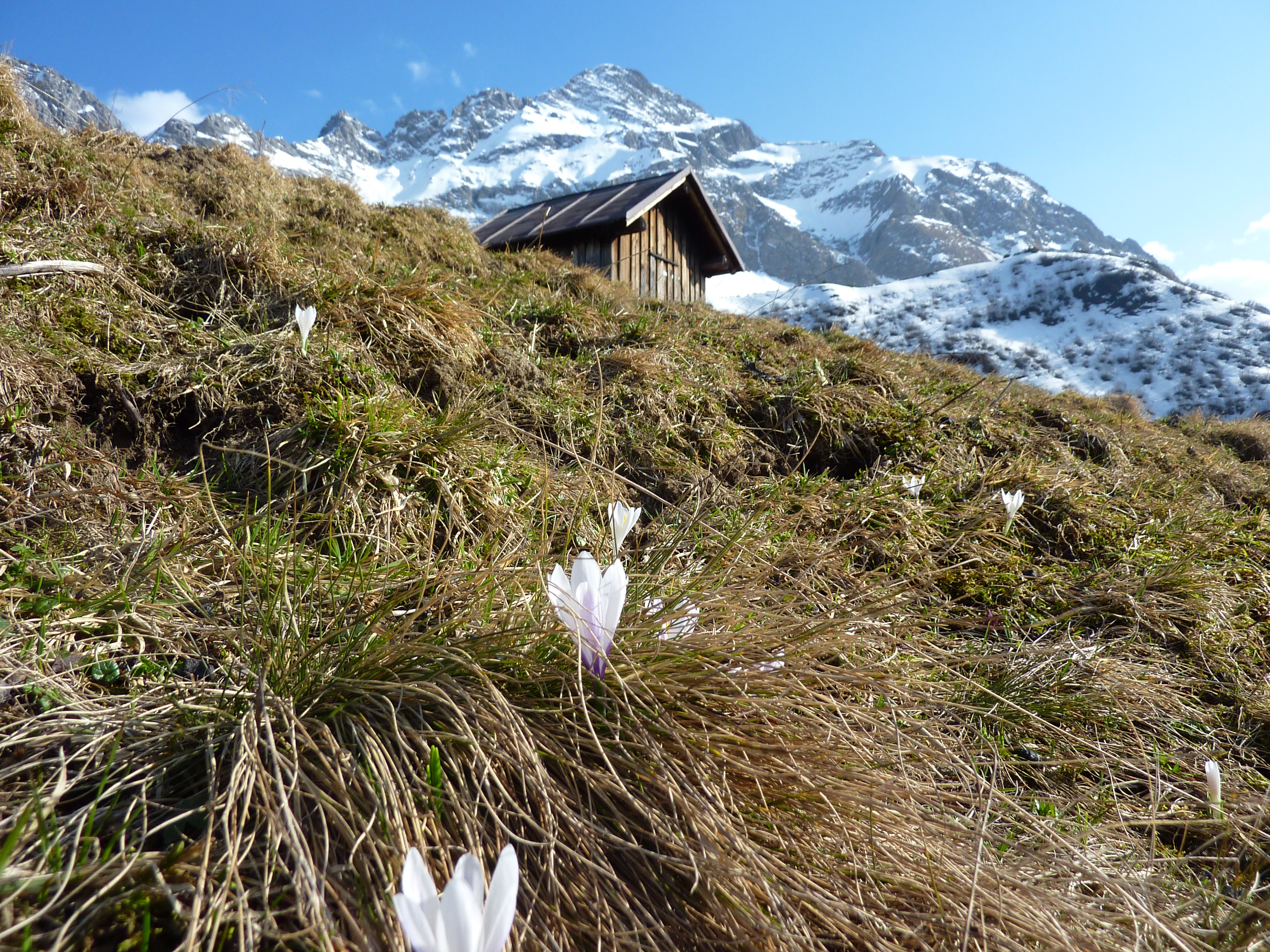 Unterkunft im Allgäu: Hotel Gasthof Adler in Oberstdorf im Allgäu - Hotel Gasthof Adler in Oberstdorf im Allgäu