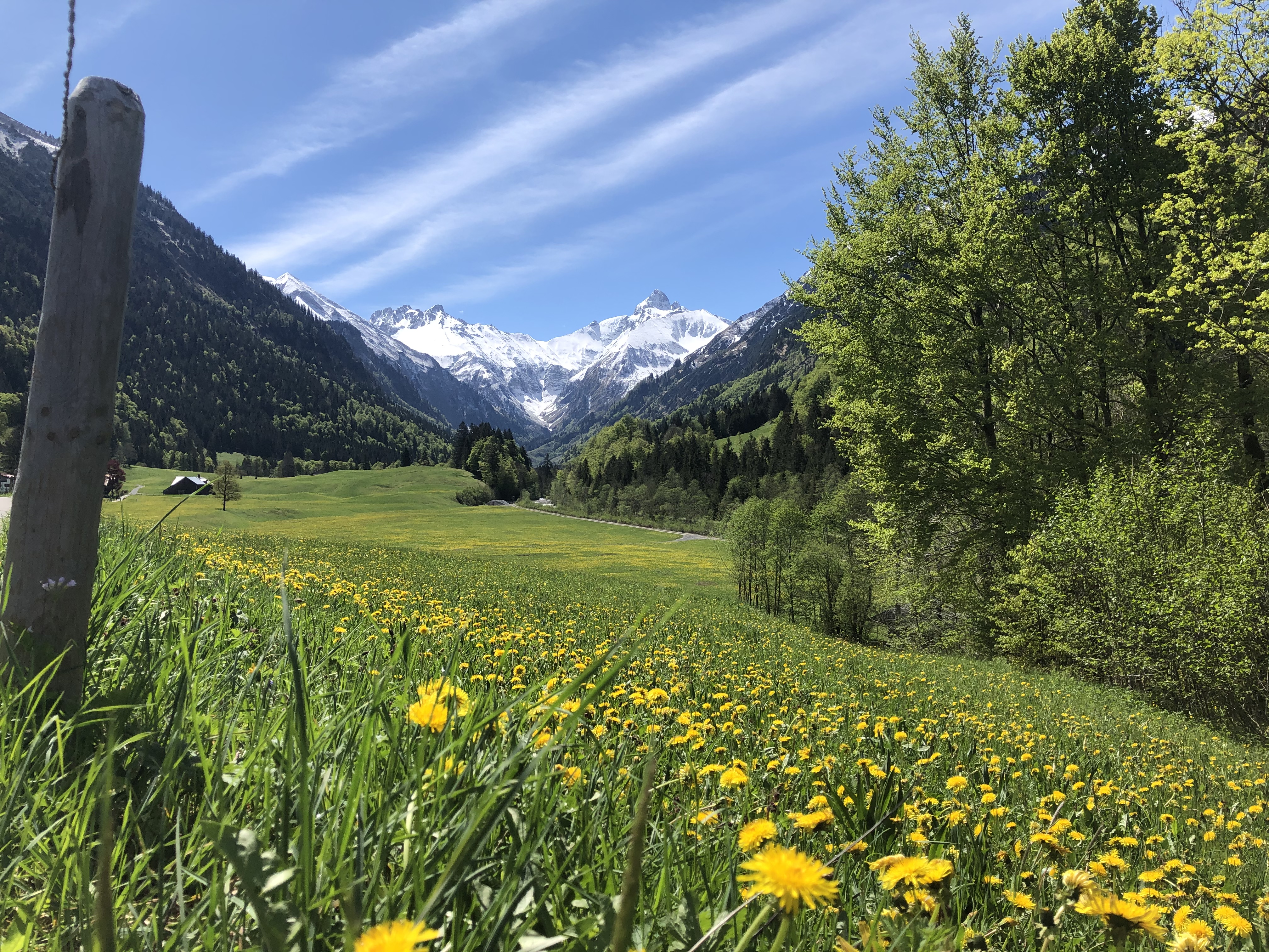 Unterkunft im Allgäu: Gasthof - Pension Oberstdorfer Einkehr - Oberstdorfer Einkehr - Hotel Garni - Gästehaus 