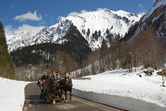 Unterkunft im Allgäu: Haus Sonnenruh - Ferienwohnungen in Bad Oberdorf im Allgäu - Haus Sonnenruh - Ferienwohnungen in Bad Oberdorf im Allgäu