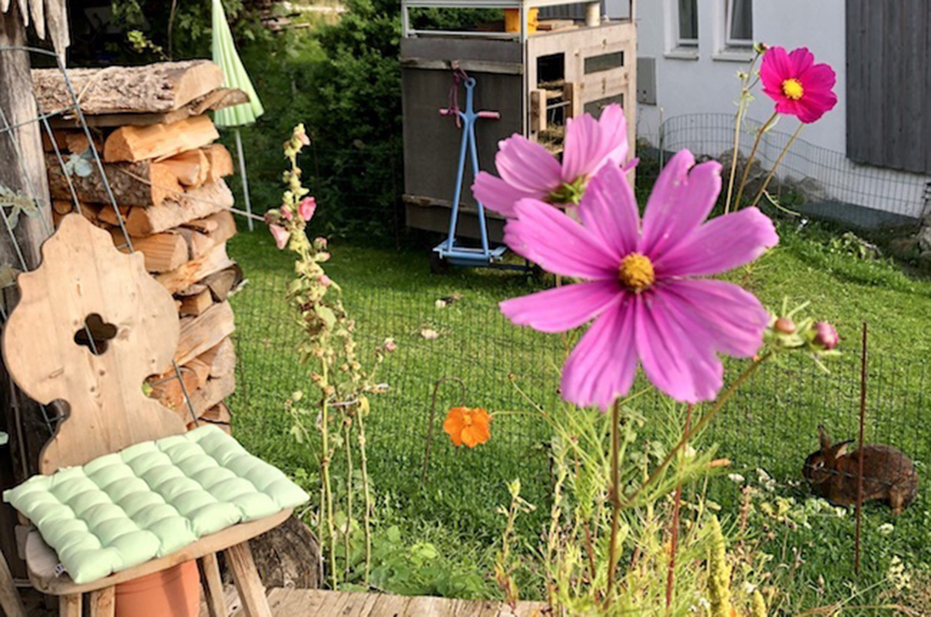 Unterkunft im Allgäu: Gartentraum im Sommer - Ferienhof Stiefel über Sonthofen im Allgäu