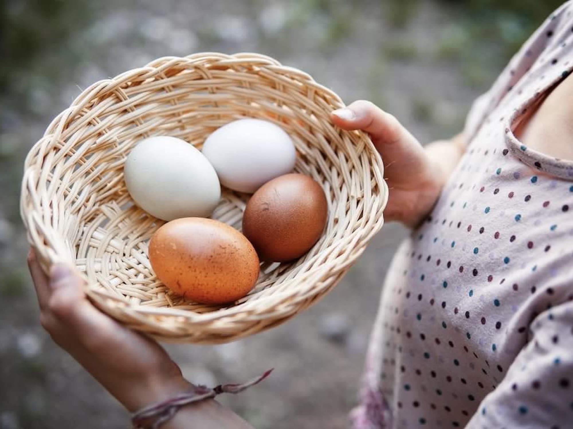 Unterkunft im Allgäu: Bauernhoferlebnisse für die Kids - Ferienhof Stiefel über Sonthofen im Allgäu