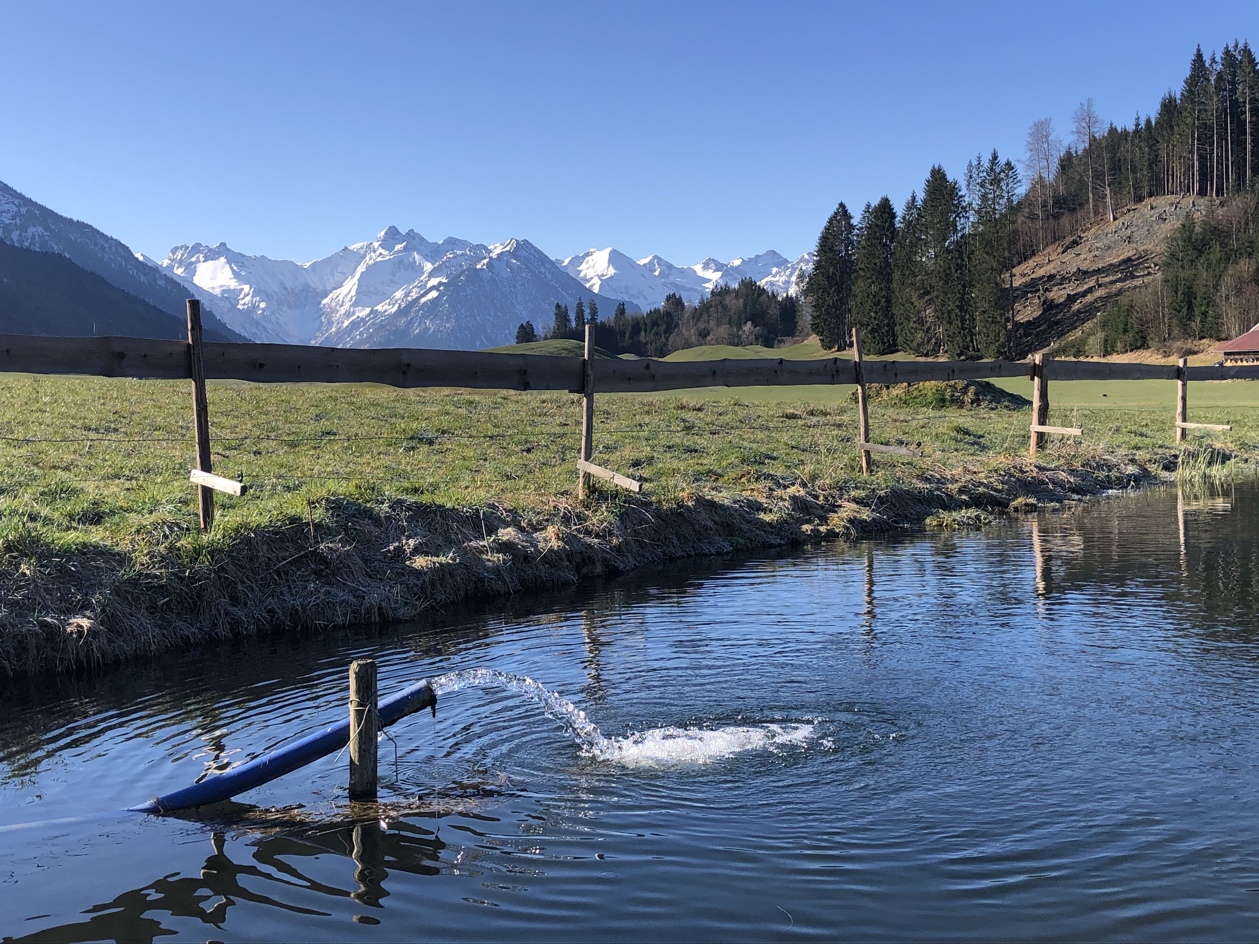 Unterkunft im Allgäu: Allgäuer Bergnest - Ferienwohnung in Fischen im Allgäu - Allgäuer Bergnest - Ihre Ferienwohnung in Fischen im Allgäu