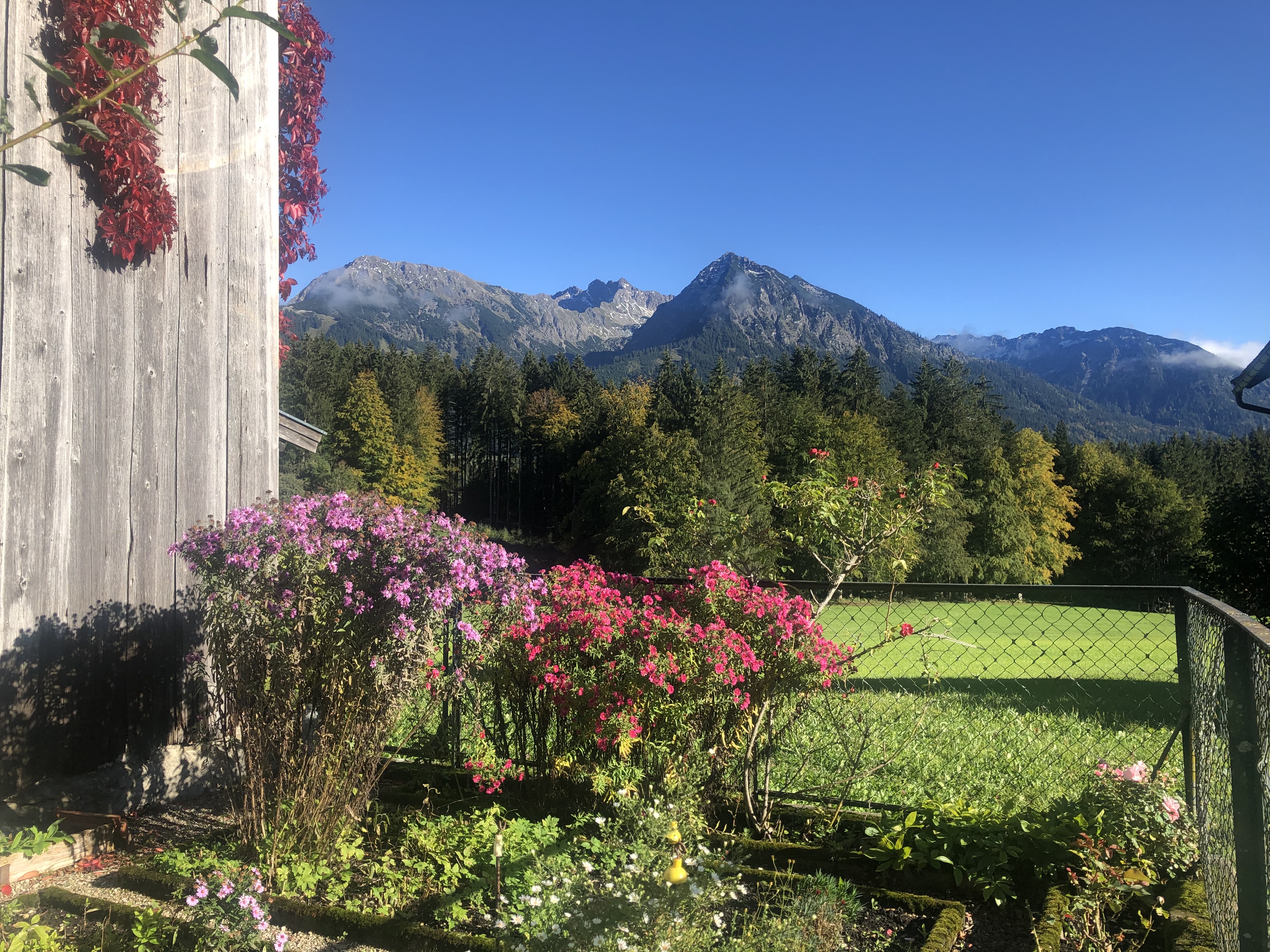 Unterkunft im Allgäu: Allgäuer Bergnest - Ferienwohnung in Fischen im Allgäu - Allgäuer Bergnest - Ihre Ferienwohnung in Fischen im Allgäu